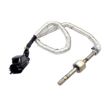 Palpeur (température des...