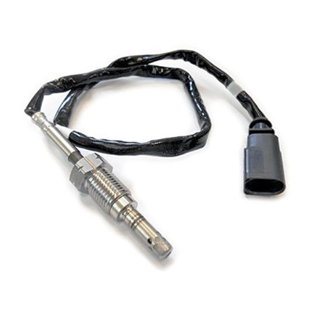 Palpeur (température des...