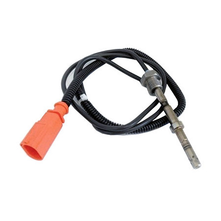 Palpeur (température des...