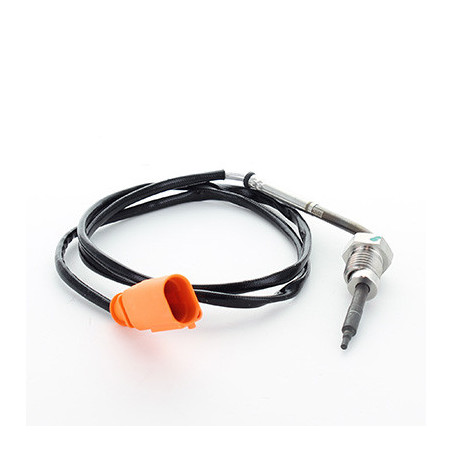 Palpeur (température des...