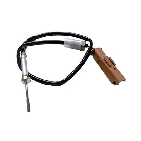 Palpeur (température des...