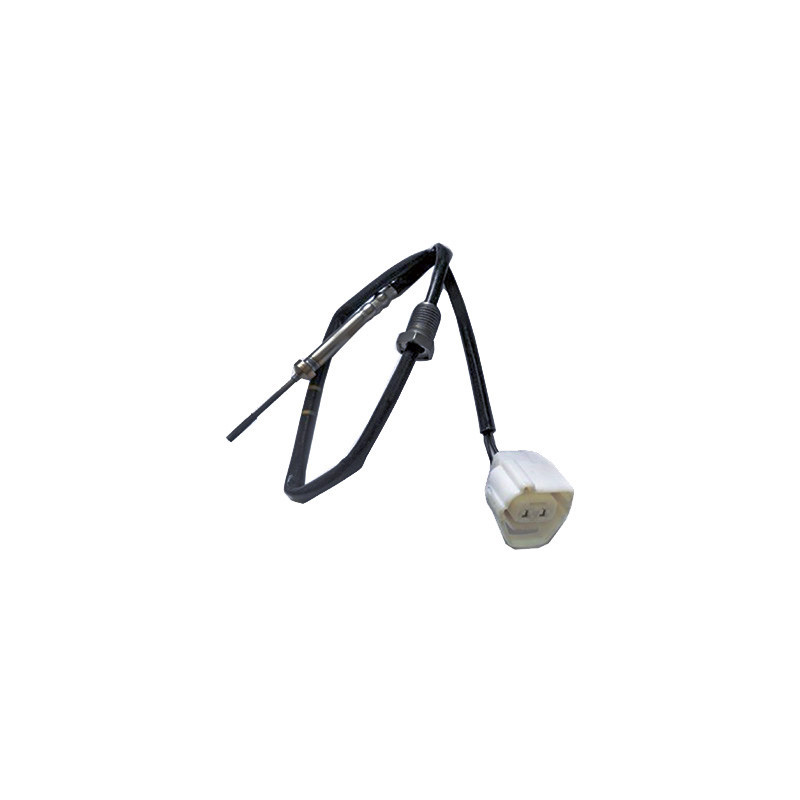 Palpeur (température des gaz) FISPA