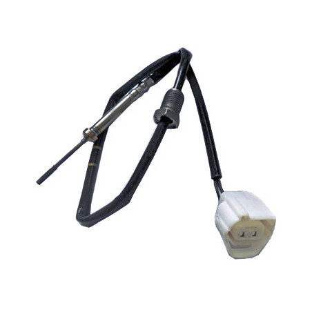 Palpeur (température des...