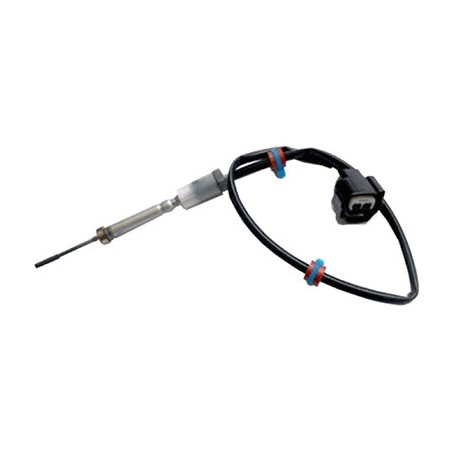 Palpeur (température des...