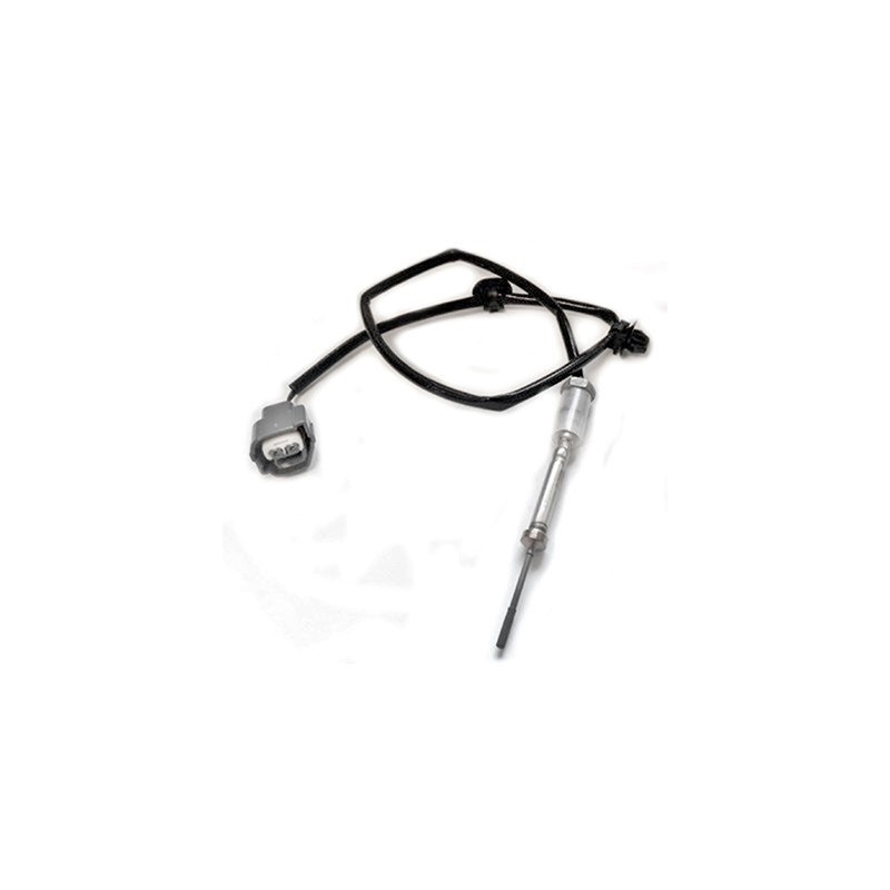 Palpeur (température des gaz) FISPA