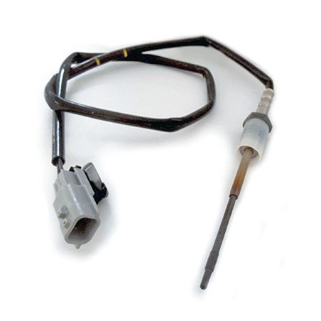 Palpeur (température des...