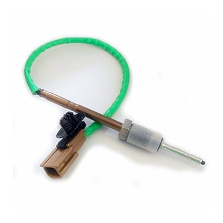 Palpeur (température des...