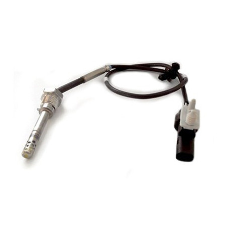 Palpeur (température des...