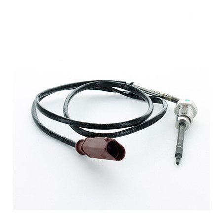 Palpeur (température des...