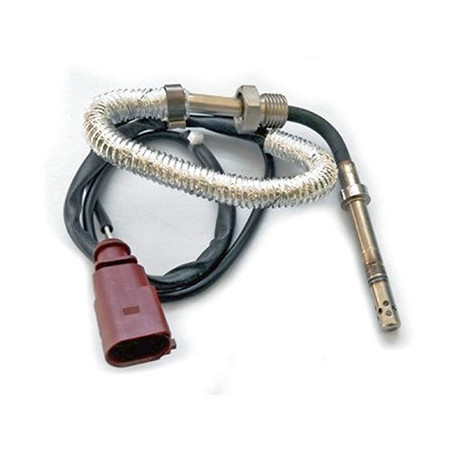 Palpeur (température des...