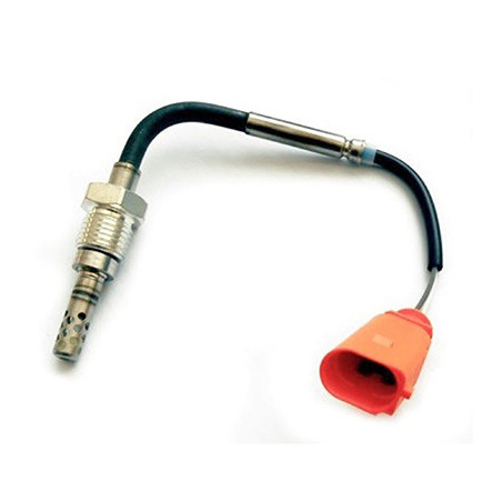 Palpeur (température des...