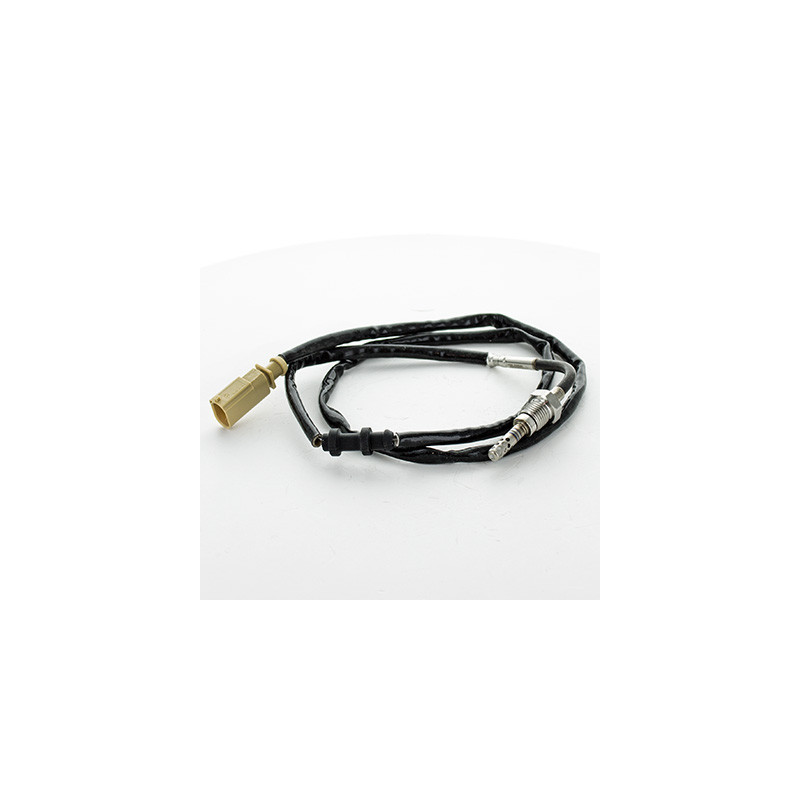 Palpeur (température des gaz) FISPA