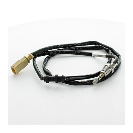 Palpeur (température des...