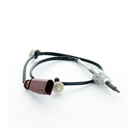 Palpeur (température des...