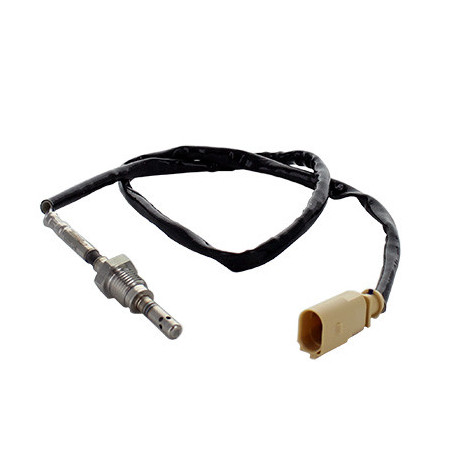 Palpeur (température des...