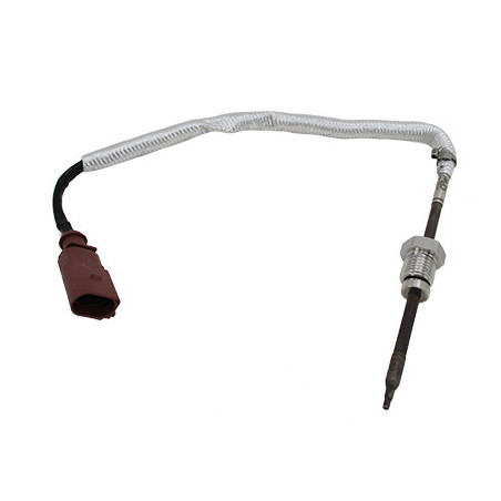 Palpeur (température des...