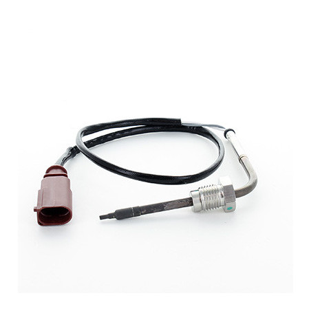 Palpeur (température des...