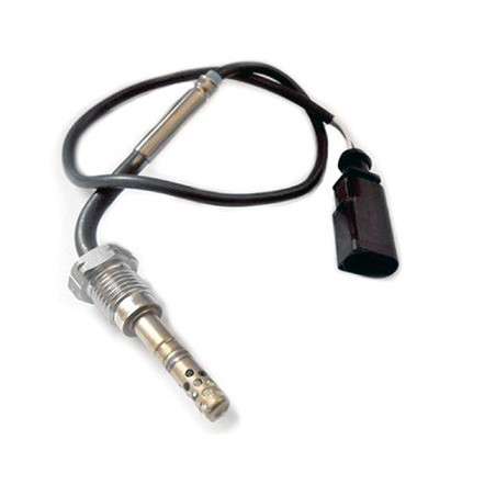 Palpeur (température des...