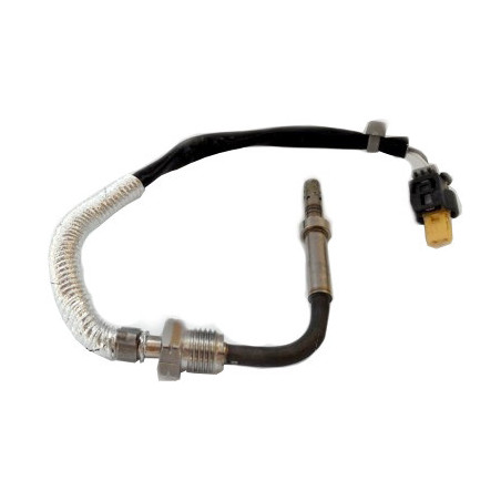 Palpeur (température des...