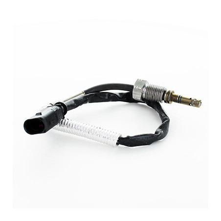 Palpeur (température des...