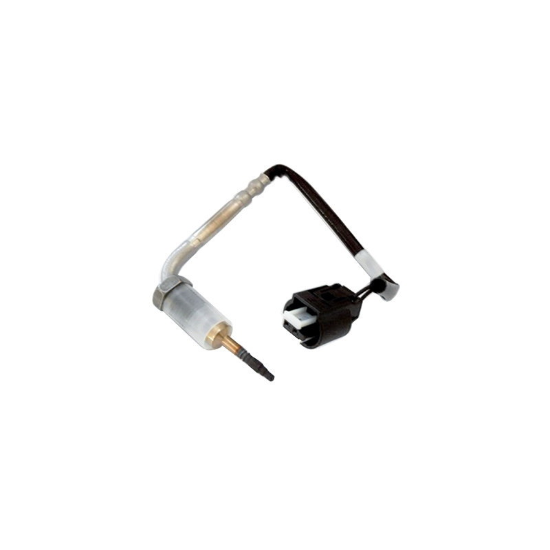 Palpeur (température des gaz) FISPA