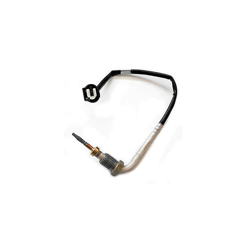 Palpeur (température des gaz) FISPA