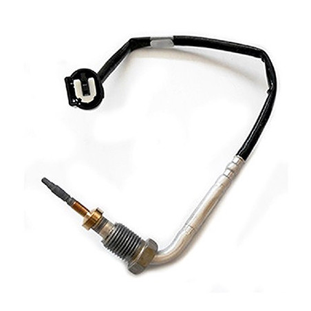 Palpeur (température des...