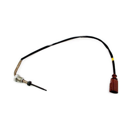 Palpeur (température des...