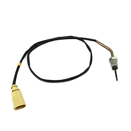 Palpeur (température des...