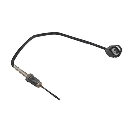 Palpeur (température des...