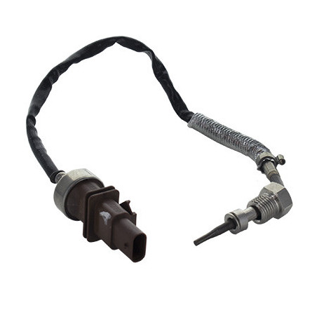 Palpeur (température des...