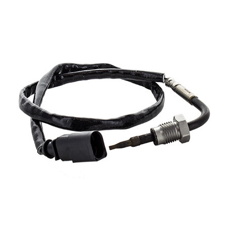 Palpeur (température des...