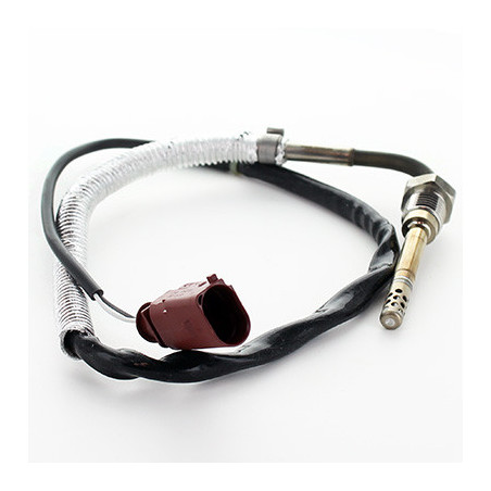 Palpeur (température des...