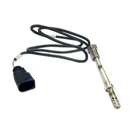 Palpeur (température des...