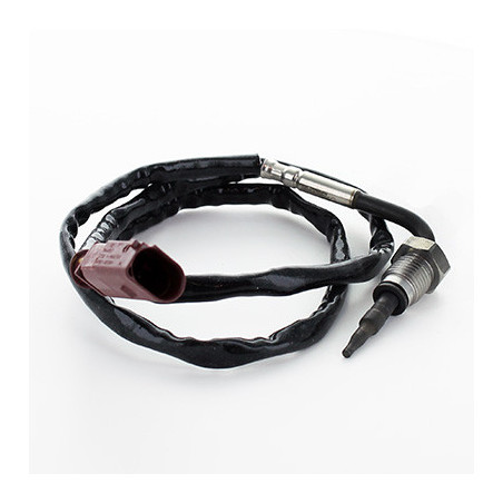 Palpeur (température des...