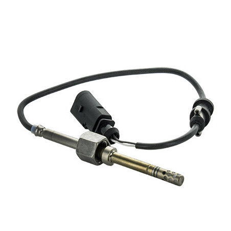 Palpeur (température des...