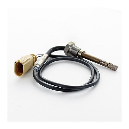 Palpeur (température des...