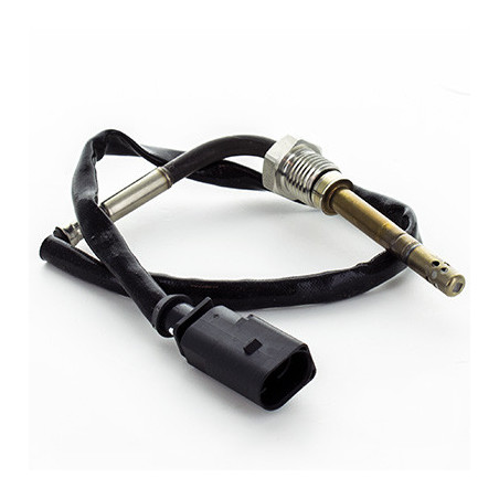 Palpeur (température des...