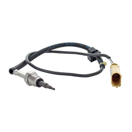 Palpeur (température des...