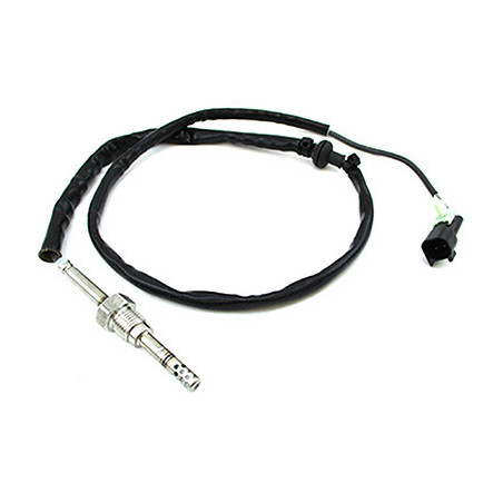 Palpeur (température des...