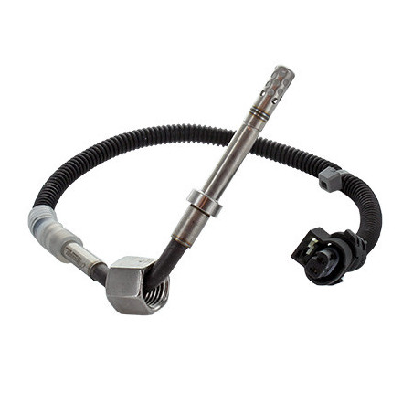 Palpeur (température des...