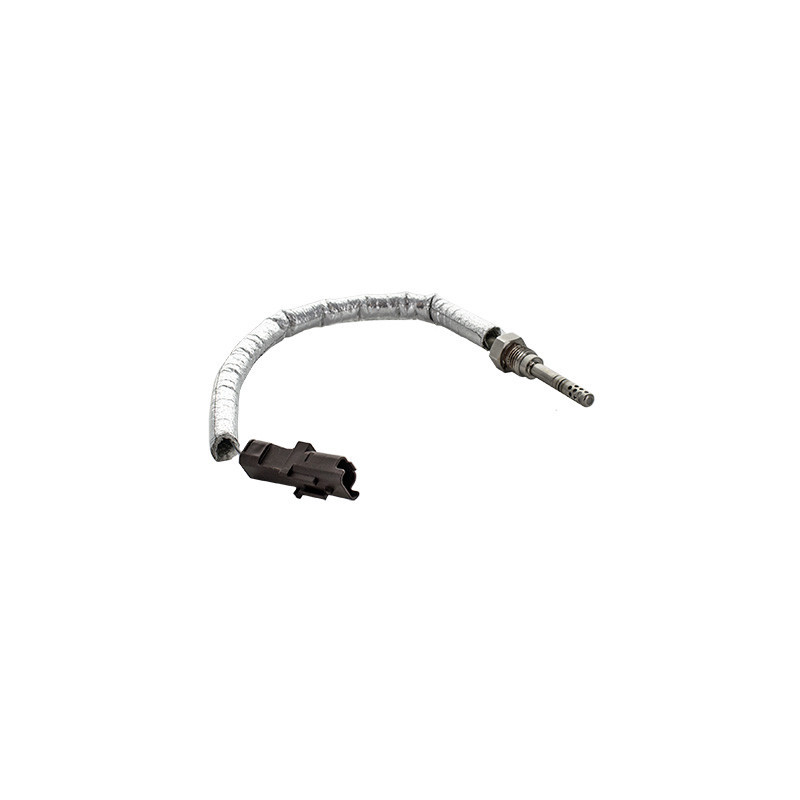 Palpeur (température des gaz) FISPA