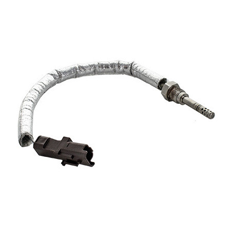 Palpeur (température des...