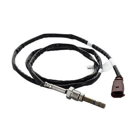 Palpeur (température des...