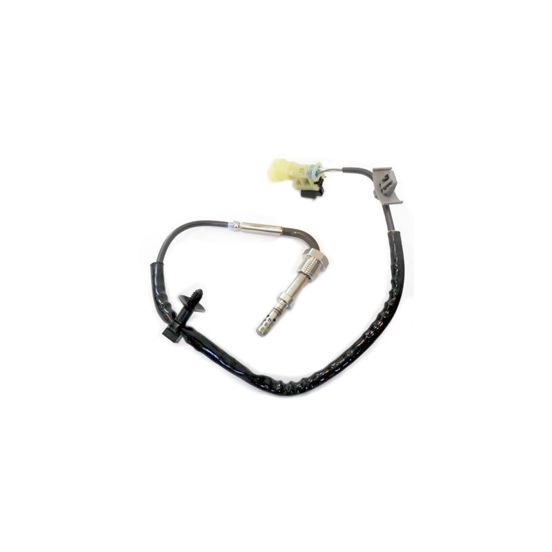 Palpeur (température des gaz) FISPA