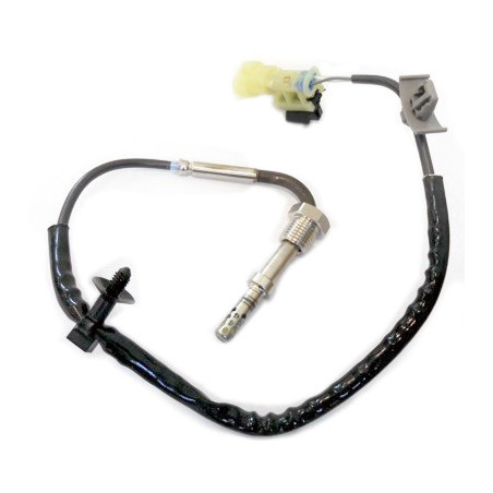 Palpeur (température des...