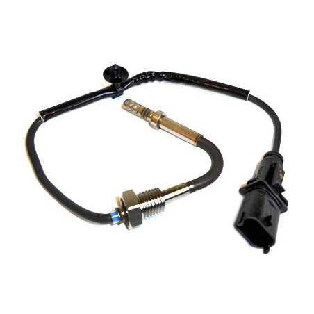 Palpeur (température des...