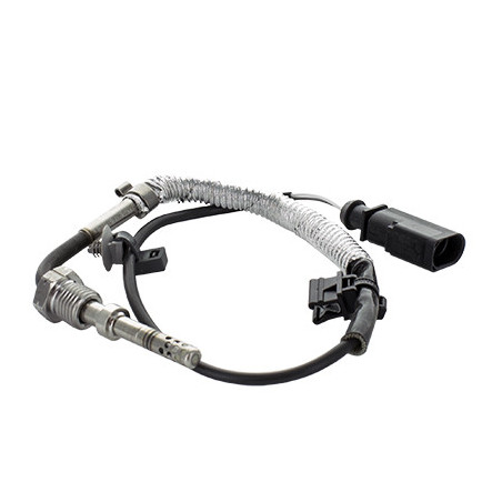 Palpeur (température des...