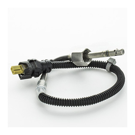 Palpeur (température des...