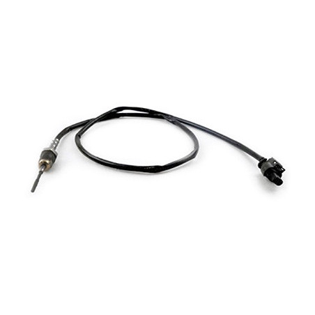 Palpeur (température des...